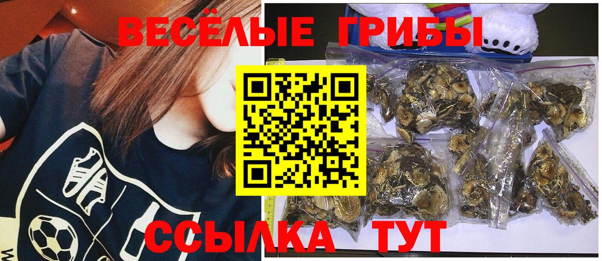 купить наркотик  Псилоцибиновые грибы Psilocybine cubensis  Вход с VPN  Амурск 