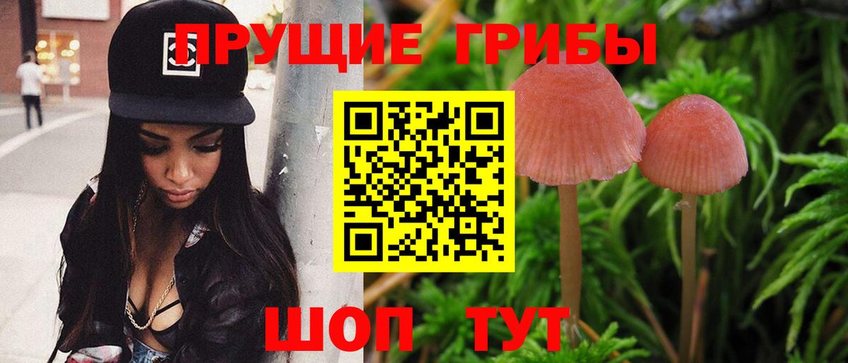 Галлюциногенные грибы ЛСД Амурск